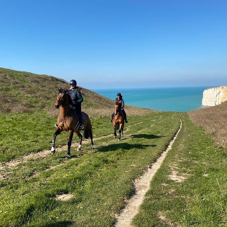 Domaine Equestre Etretat Bed & Breakfast Le Tilleul Bagian luar foto