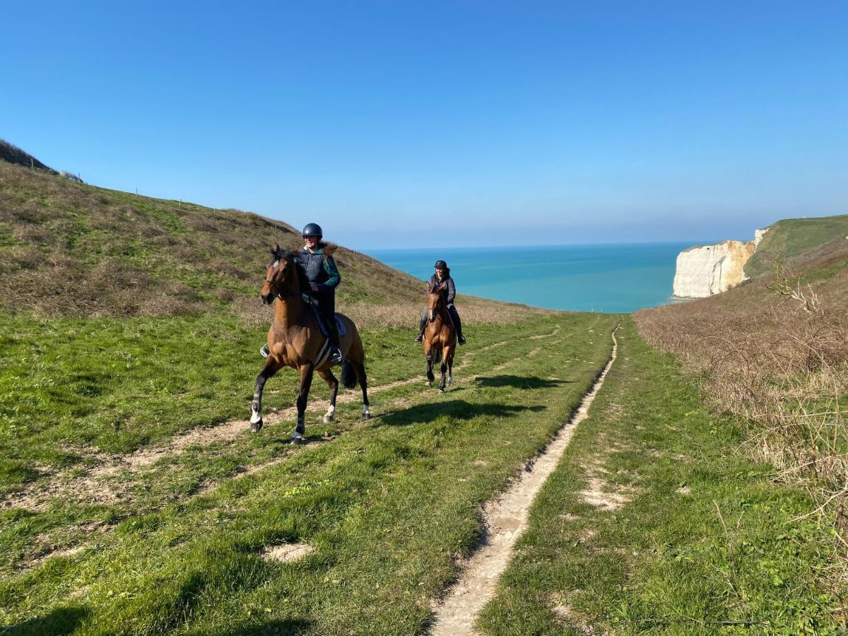 Domaine Equestre Etretat Bed & Breakfast Le Tilleul Bagian luar foto