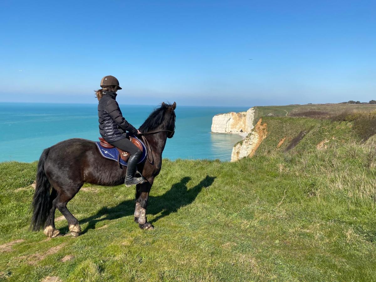 Domaine Equestre Etretat Bed & Breakfast Le Tilleul Bagian luar foto